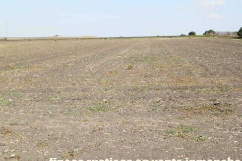 539_fincas-en-venta-002