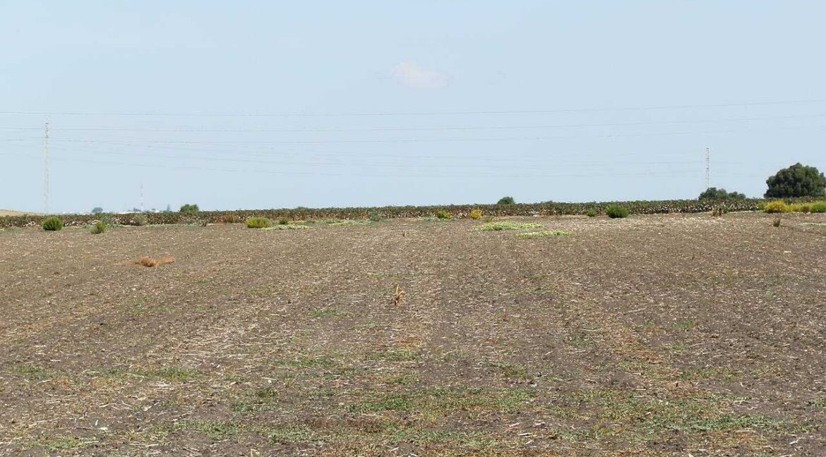 539_fincas-en-venta-003