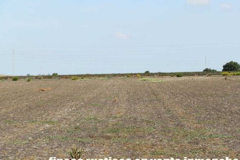 539_fincas-en-venta-003