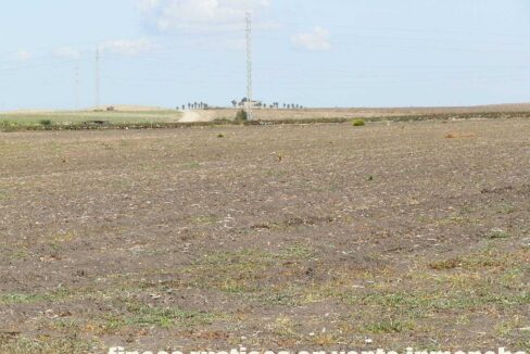 539_fincas-en-venta-004