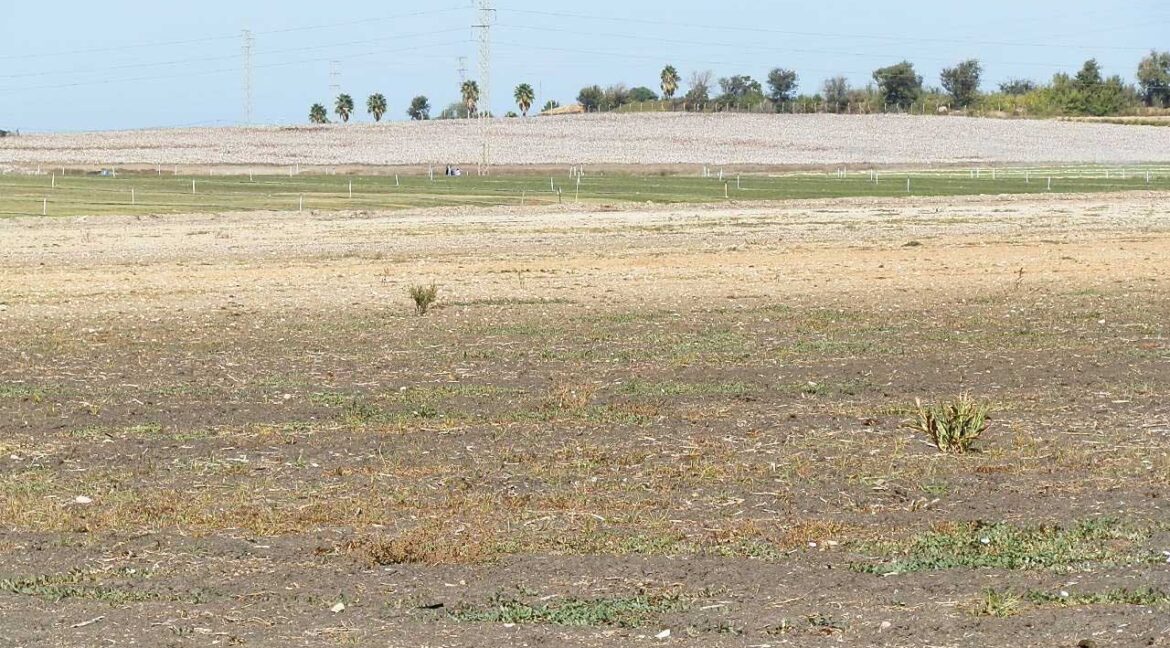 539_fincas-en-venta-005
