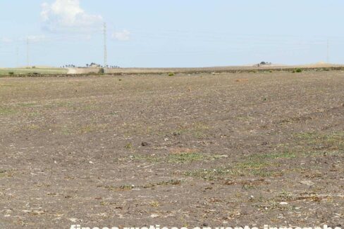 539_fincas-en-venta-006