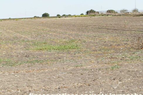 539_fincas-en-venta-007