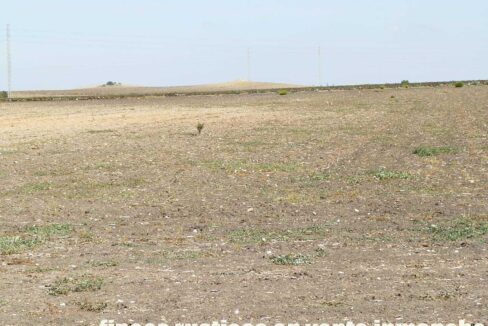 539_fincas-en-venta-008