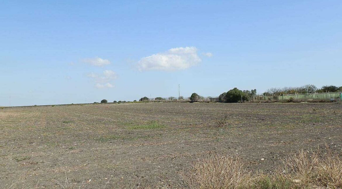 539_fincas-en-venta-010
