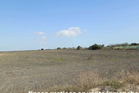 539_fincas-en-venta-010