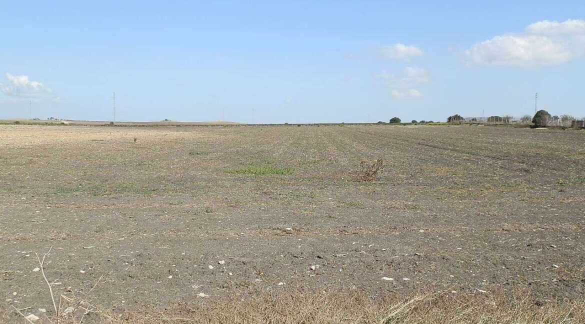 539_fincas-en-venta-011