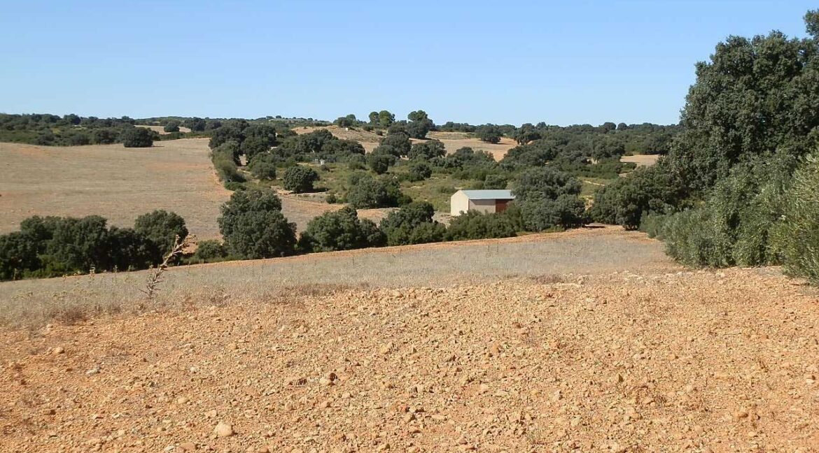 542_fincas-en-venta-45
