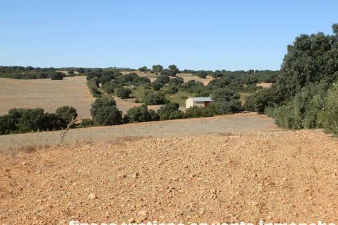 542_fincas-en-venta-45
