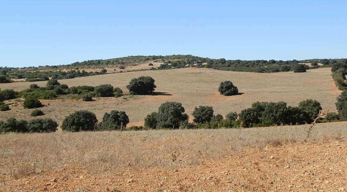 542_fincas-en-venta-46