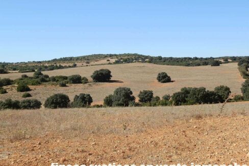 542_fincas-en-venta-46