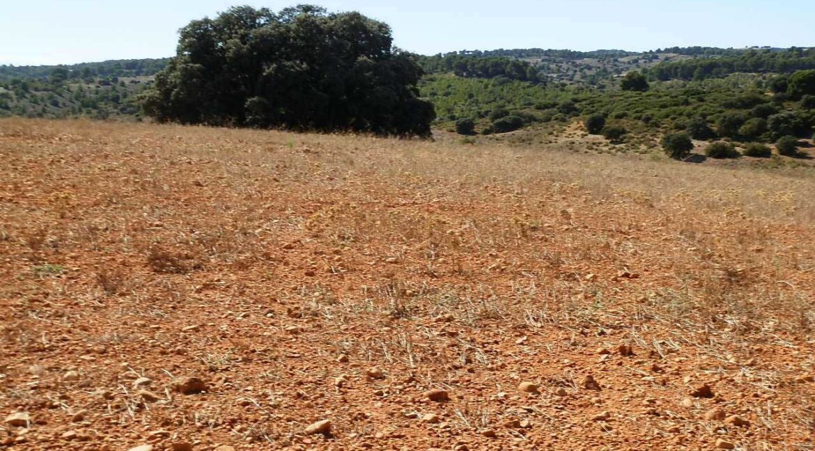542_fincas-en-venta-47