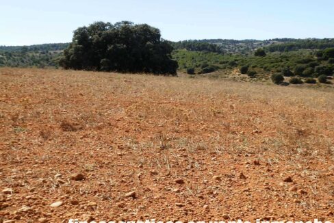 542_fincas-en-venta-47