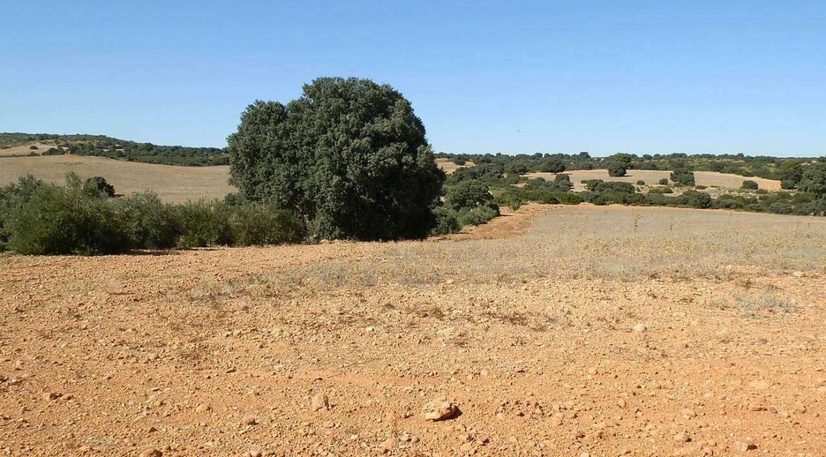 542_fincas-en-venta-48