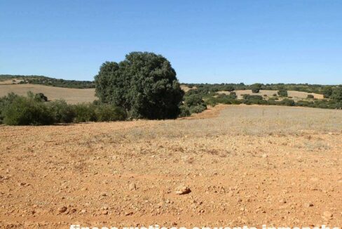 542_fincas-en-venta-48