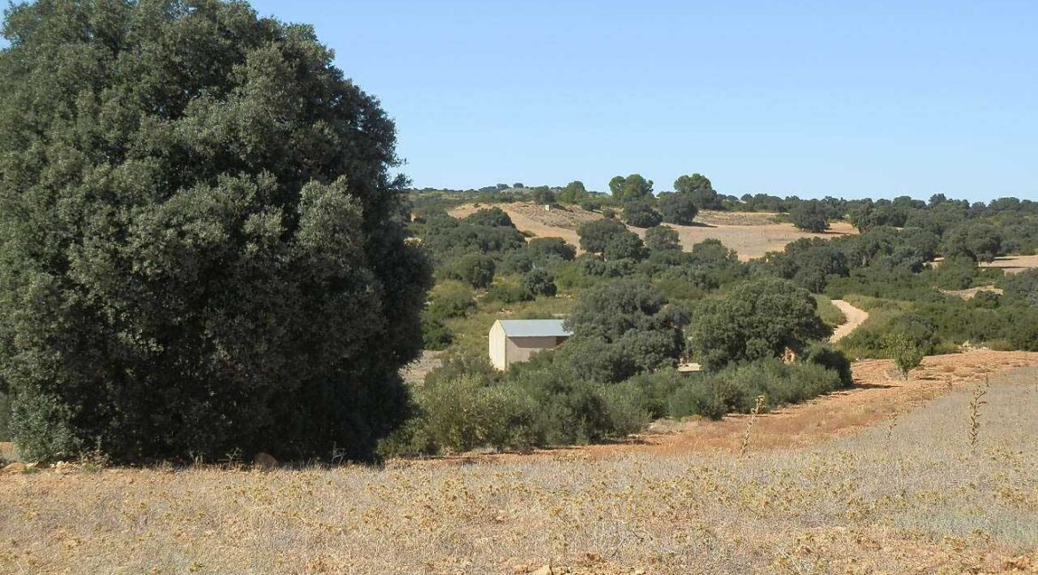 542_fincas-en-venta-49