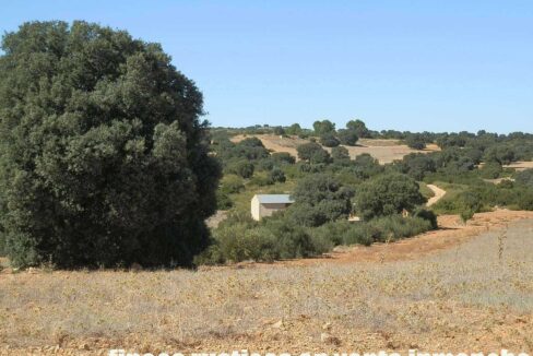542_fincas-en-venta-49