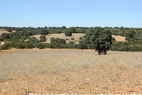 542_fincas-en-venta-50