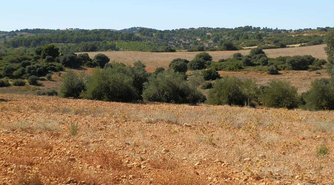 542_fincas-en-venta-51
