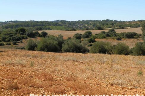 542_fincas-en-venta-51