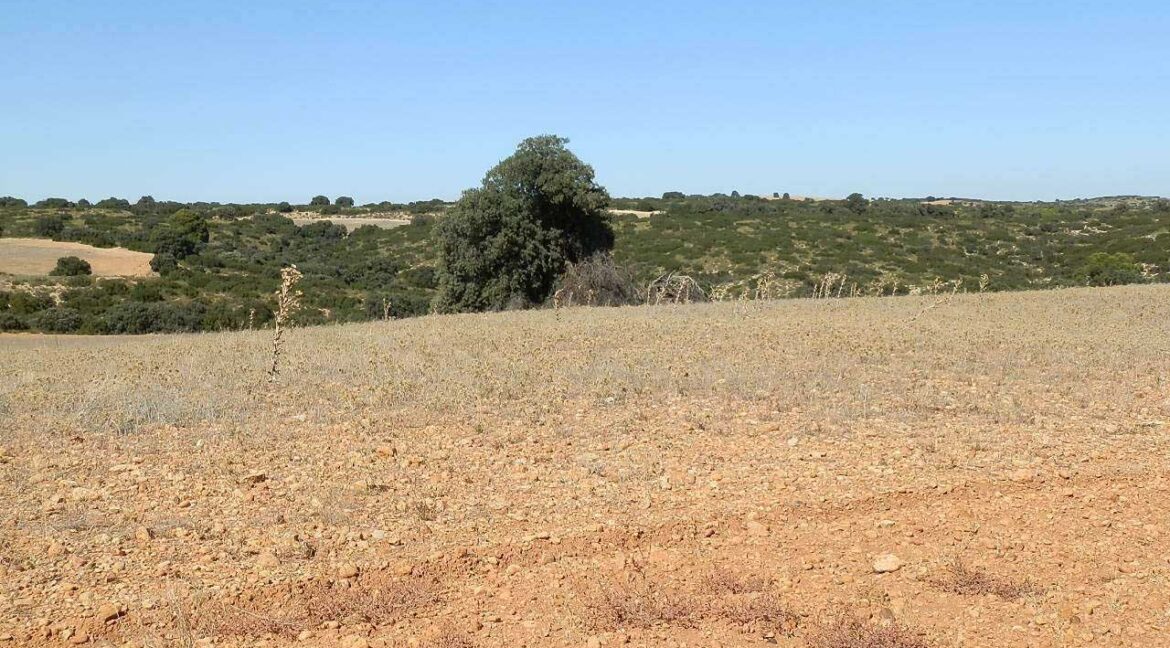542_fincas-en-venta-53
