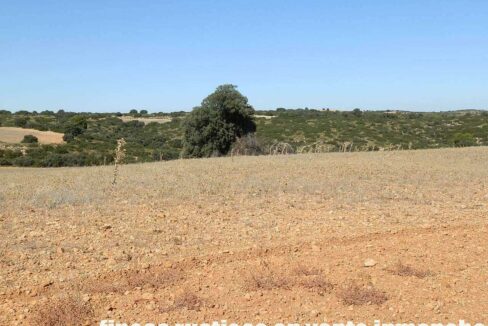 542_fincas-en-venta-53