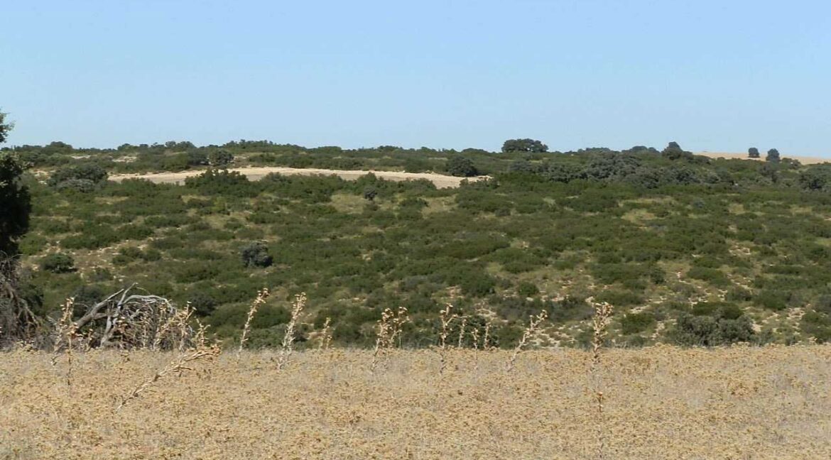 542_fincas-en-venta-55