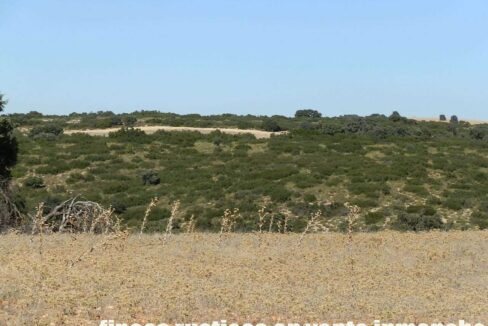 542_fincas-en-venta-55