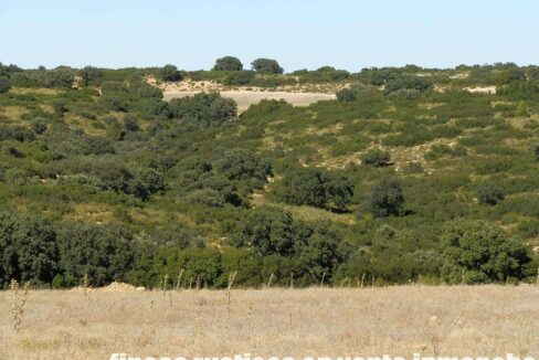 542_fincas-en-venta-60