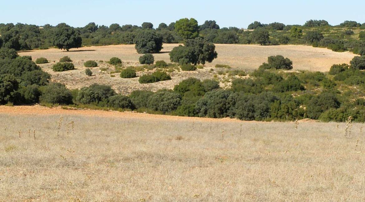 542_fincas-en-venta-61
