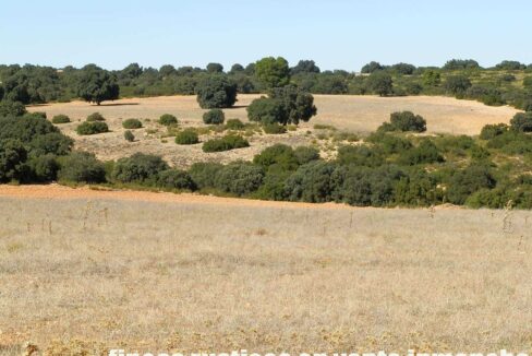 542_fincas-en-venta-61