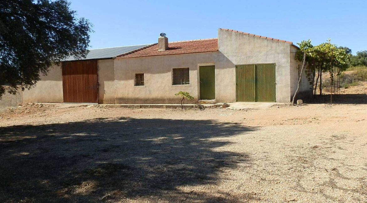 542_fincas-en-venta-64