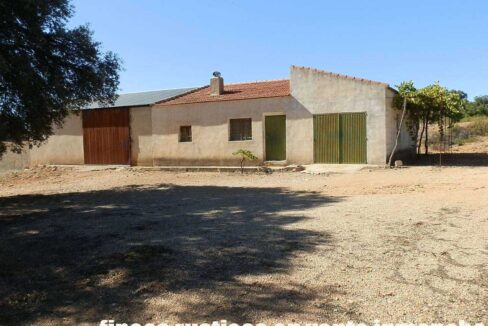 542_fincas-en-venta-64