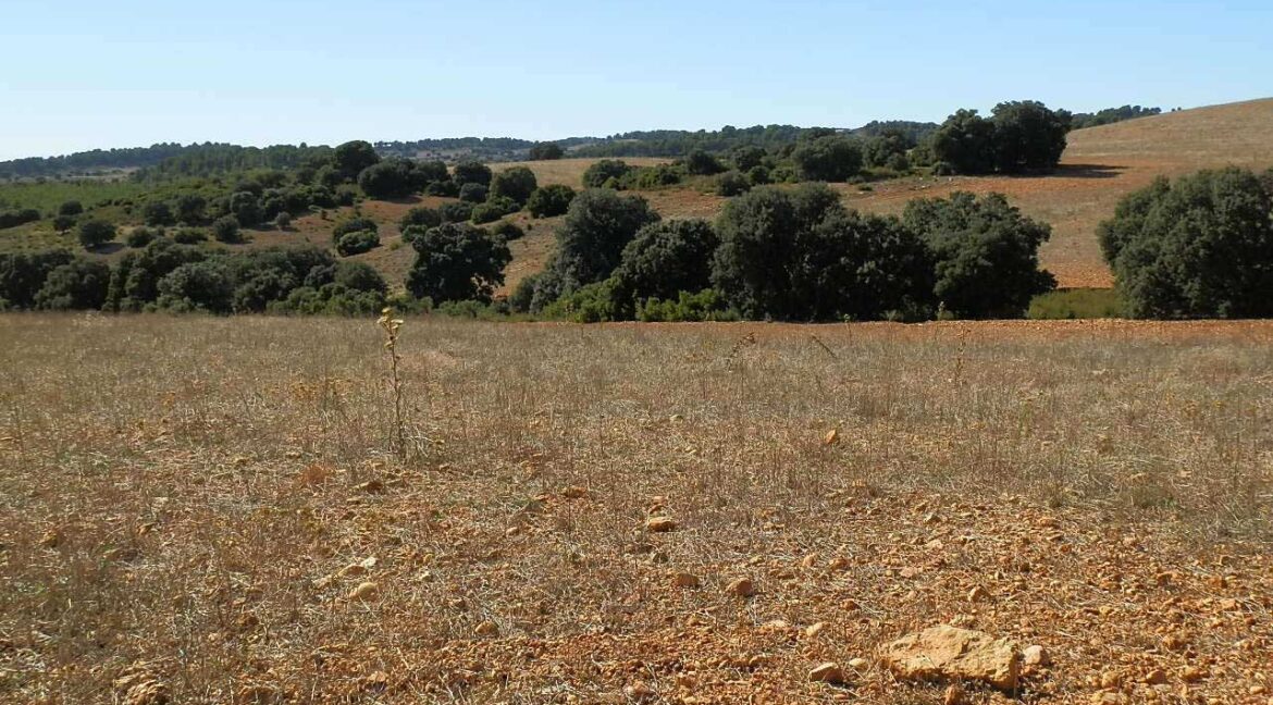 542_fincas-en-venta-65