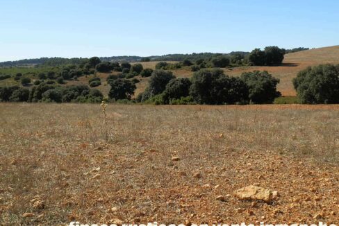 542_fincas-en-venta-65