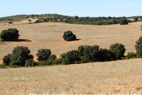 542_fincas-en-venta-67