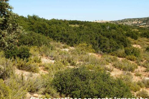 542_fincas-en-venta-71