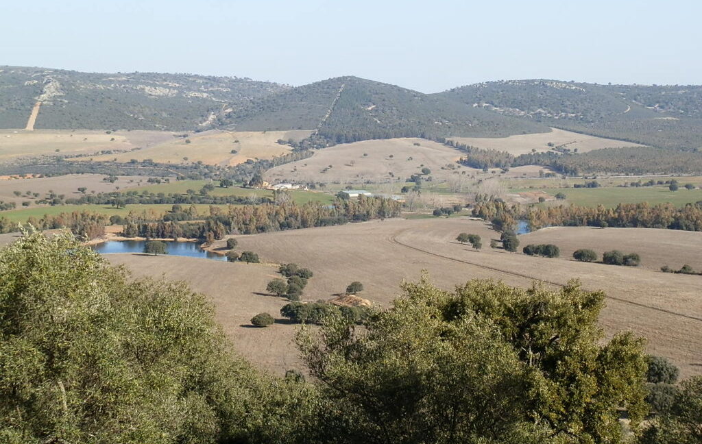 554_fincas-en-venta-035