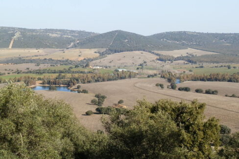 554_fincas-en-venta-035
