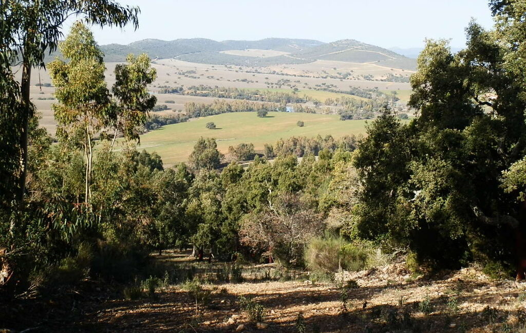 554_fincas-en-venta-039
