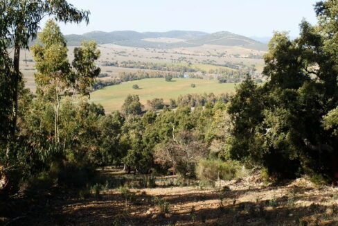 554_fincas-en-venta-039