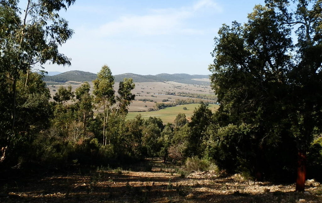 554_fincas-en-venta-040