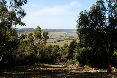554_fincas-en-venta-040