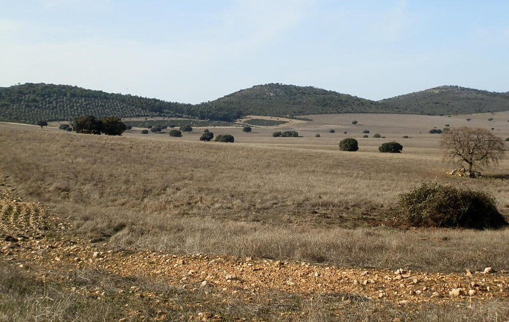 554_fincas-en-venta-053
