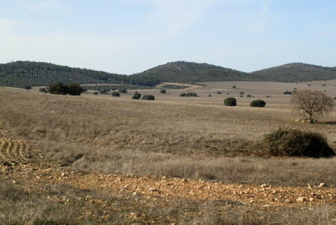 554_fincas-en-venta-053