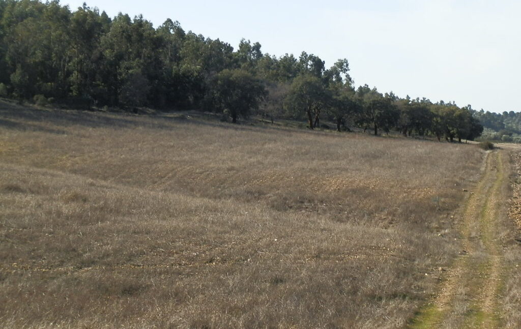 554_fincas-en-venta-054