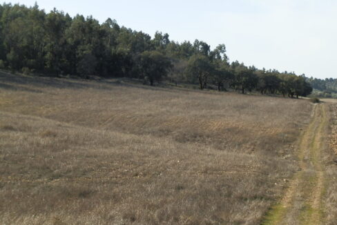 554_fincas-en-venta-054