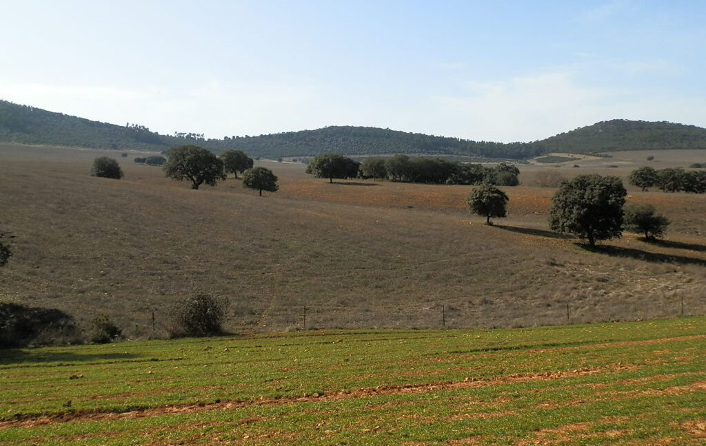554_fincas-en-venta-057