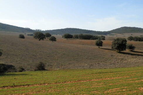 554_fincas-en-venta-057