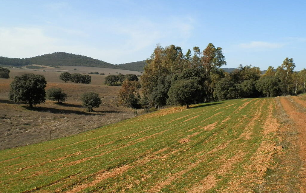554_fincas-en-venta-058